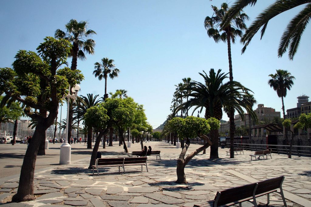 Los mejores para entrenar en Barcelona